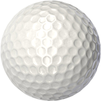 sportIcon