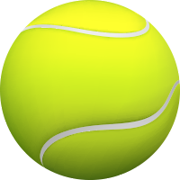 sportIcon
